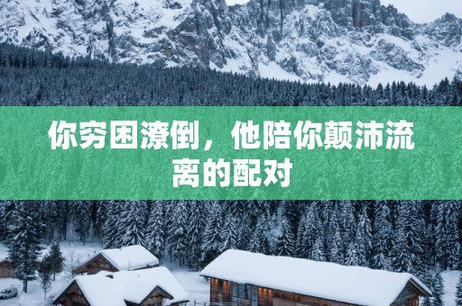 你穷困潦倒，他陪你颠沛流离的配对