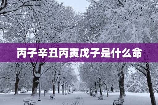 丙子辛丑丙寅戊子是什么命