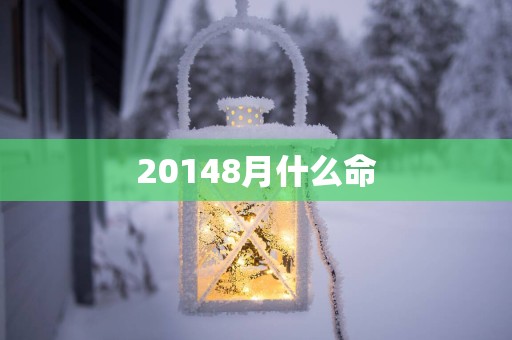 20148月什么命