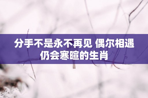 分手不是永不再见 偶尔相遇仍会寒暄的生肖