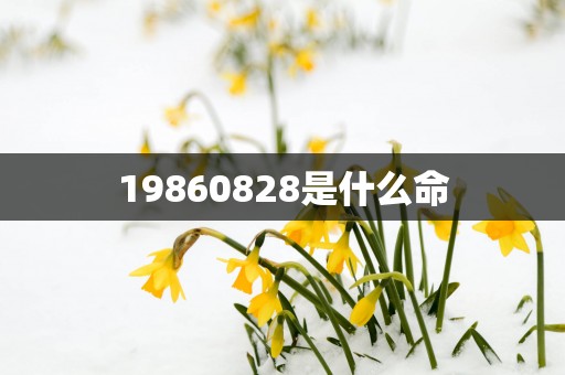 19860828是什么命
