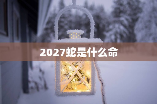 2027蛇是什么命