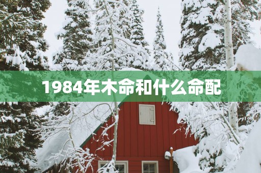 1984年木命和什么命配