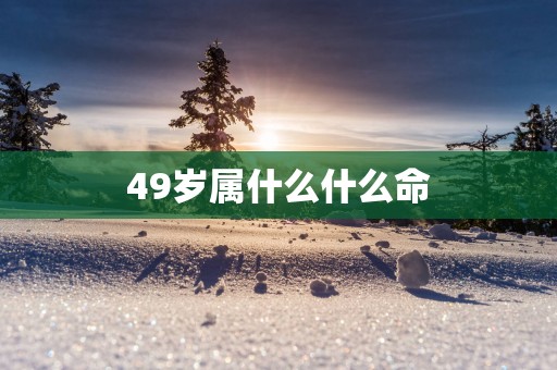 49岁属什么什么命