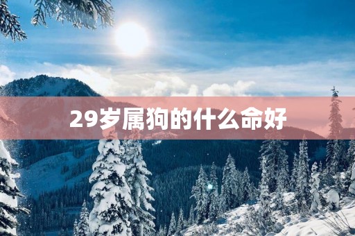 29岁属狗的什么命好