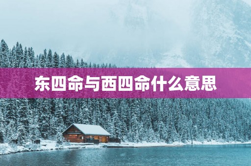 东四命与西四命什么意思