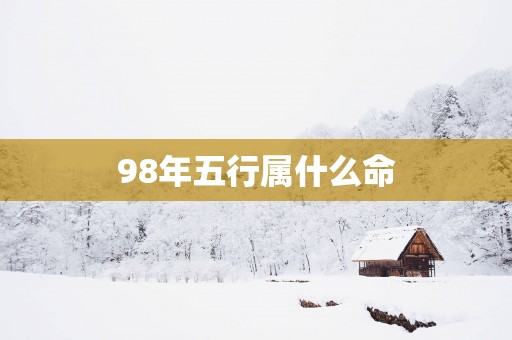 98年五行属什么命