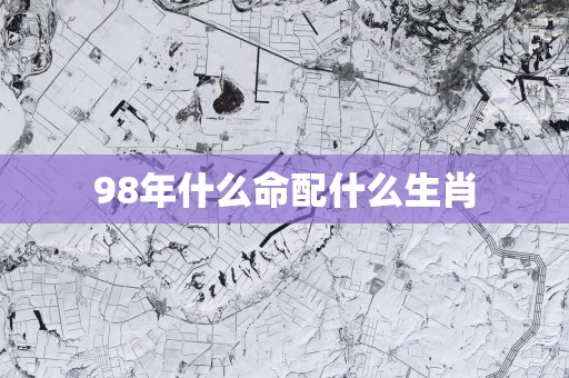 98年什么命配什么生肖