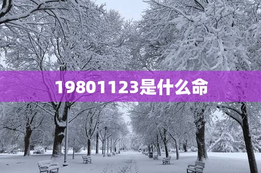 19801123是什么命