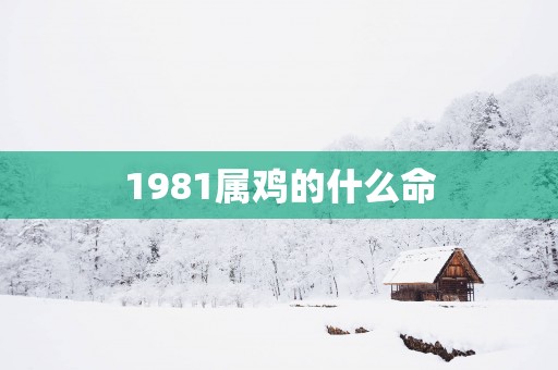 1981属鸡的什么命
