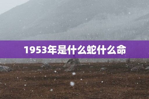 1953年是什么蛇什么命