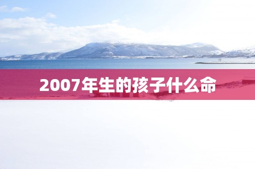 2007年生的孩子什么命