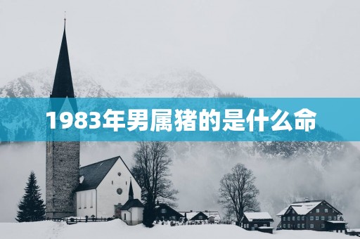 1983年男属猪的是什么命