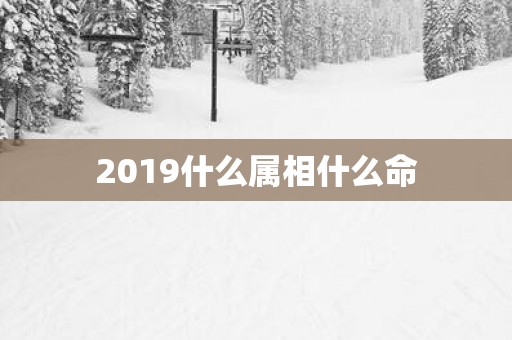 2019什么属相什么命