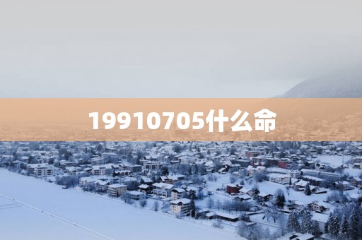 19910705什么命