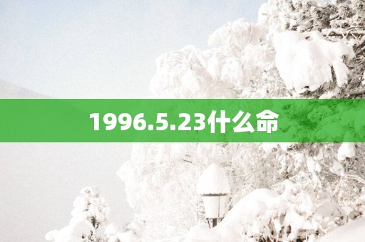 1996.5.23什么命