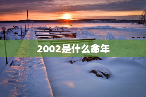 2002是什么命年