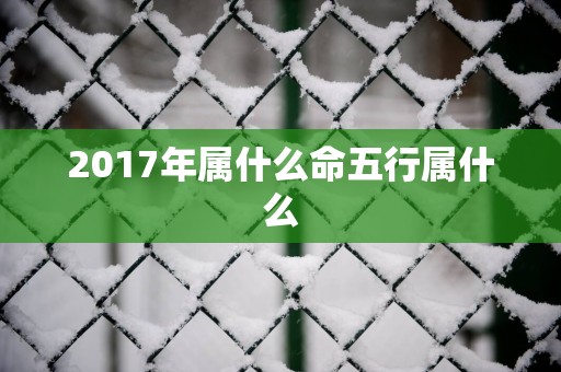 2017年属什么命五行属什么