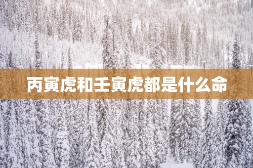 丙寅虎和壬寅虎都是什么命
