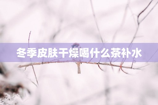 冬季皮肤干燥喝什么茶补水