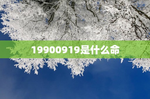 19900919是什么命