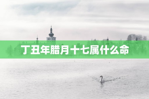 丁丑年腊月十七属什么命