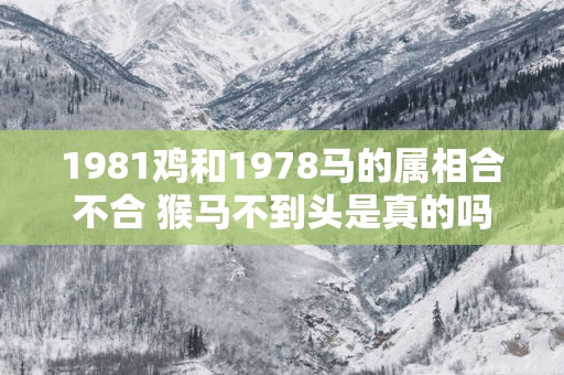 1981鸡和1978马的属相合不合 猴马不到头是真的吗