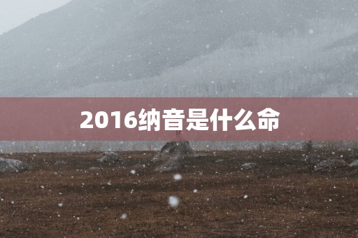 2016纳音是什么命