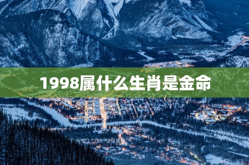1998属什么生肖是金命