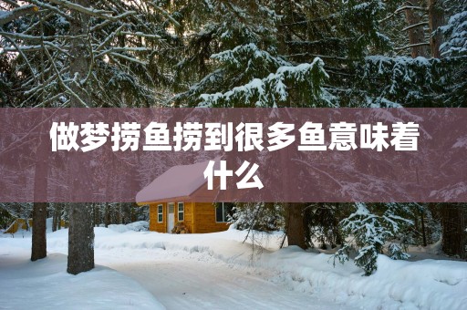 做梦捞鱼捞到很多鱼意味着什么