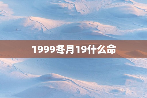 1999冬月19什么命