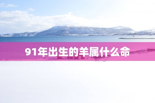 91年出生的羊属什么命