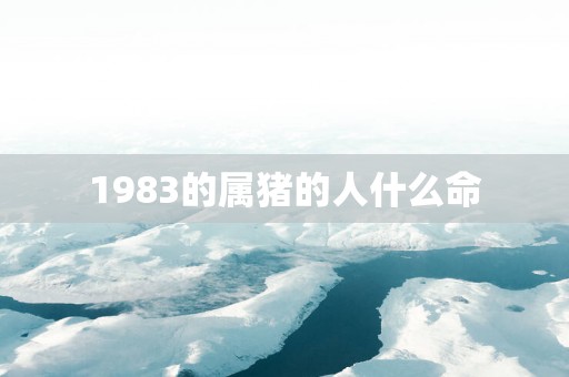 1983的属猪的人什么命
