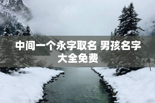 中间一个永字取名 男孩名字大全免费