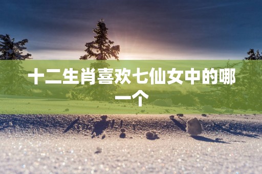 十二生肖喜欢七仙女中的哪一个