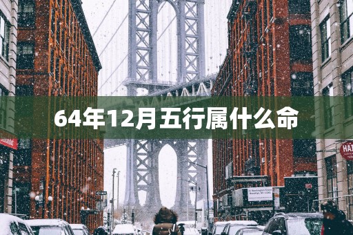64年12月五行属什么命