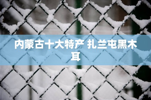 内蒙古十大特产 扎兰屯黑木耳