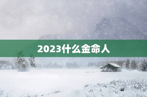 2025什么金命人