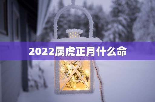 2025属虎正月什么命