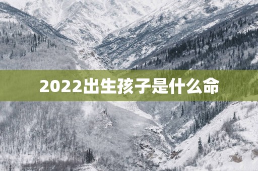 2025出生孩子是什么命