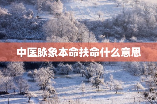 中医脉象本命扶命什么意思