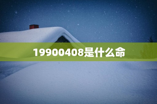 19900408是什么命