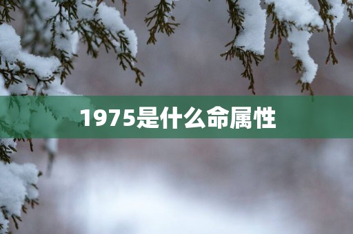 1975是什么命属性