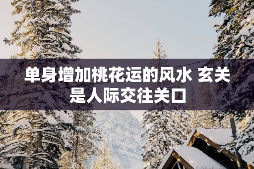 单身增加桃花运的风水 玄关是人际交往关口