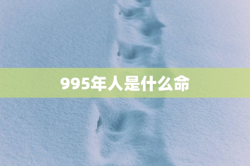 995年人是什么命