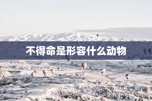 不得命是形容什么动物