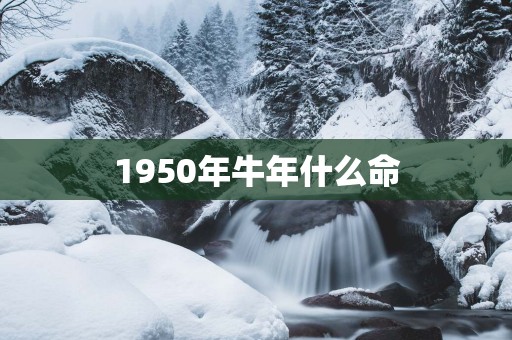 1950年蛇年什么命
