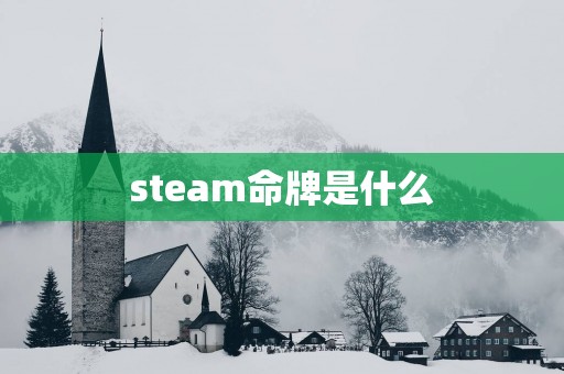 steam命牌是什么