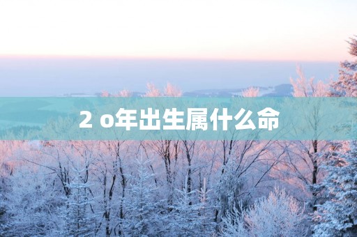 2 o年出生属什么命