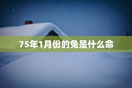 75年1月份的兔是什么命
